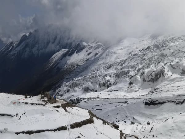 Snow-covered Mount Manaslu with Himalayan yaks on the Manaslu Circuit Trek by Thrill Himalaya Treks.